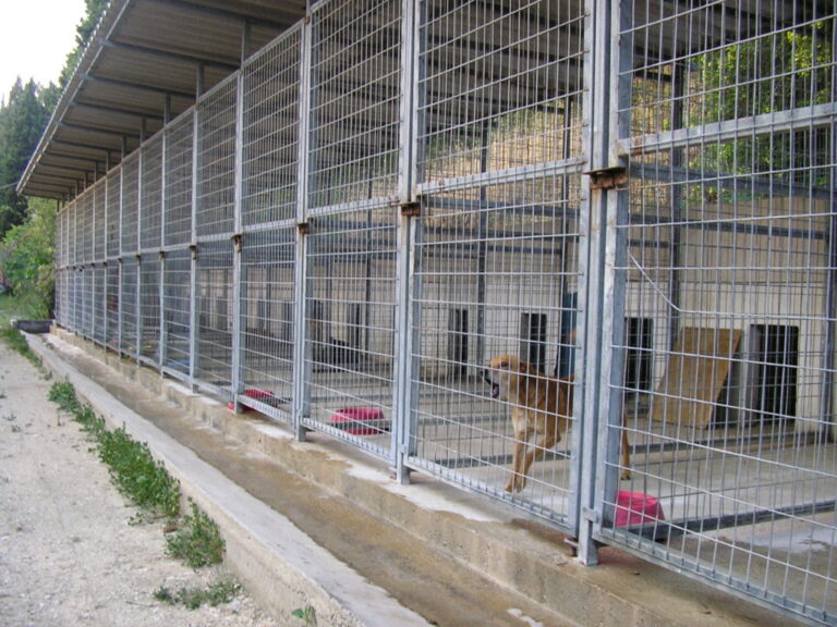 επικαιροποίηση-εγκυκλίου-για-τα-αδέσ-1420425