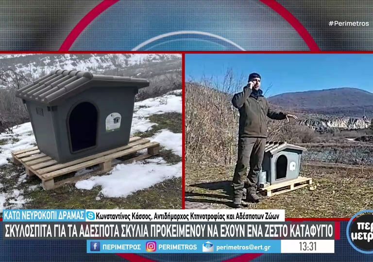 καταφύγιο-για-τα-αδέσποτα-σκυλιά-στο-κ-1428606