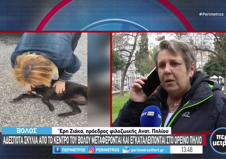 ορεινό-πήλιο-ασυνείδητοι-εγκαταλείπ-1431296