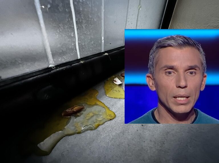 τέμπη-επίθεση-με-πέτρες-αυγά-σε-δημοτ-1437451