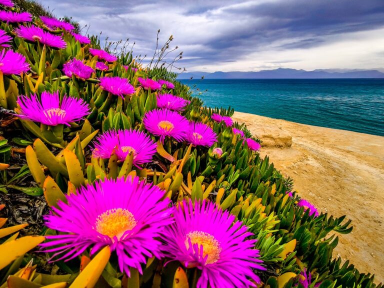 καιρός-μετά-το-καλοκαίρι-έρχεται-ρα-1448938