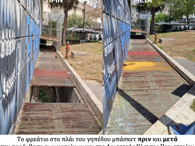 περιστέρι-kάλλιο-αργά-παρά-ποτέ-το-πα-1450649