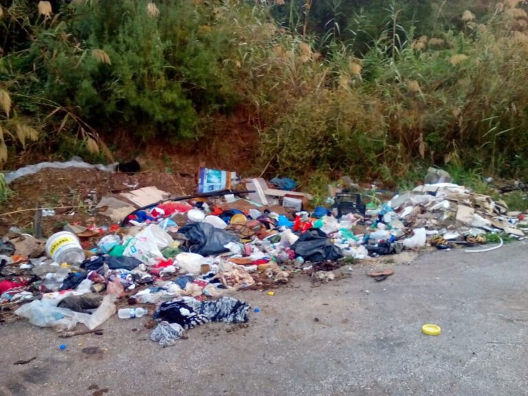 δήμος-απειλεί-με-πρόστιμα-για-τα-πεταμ-1460785