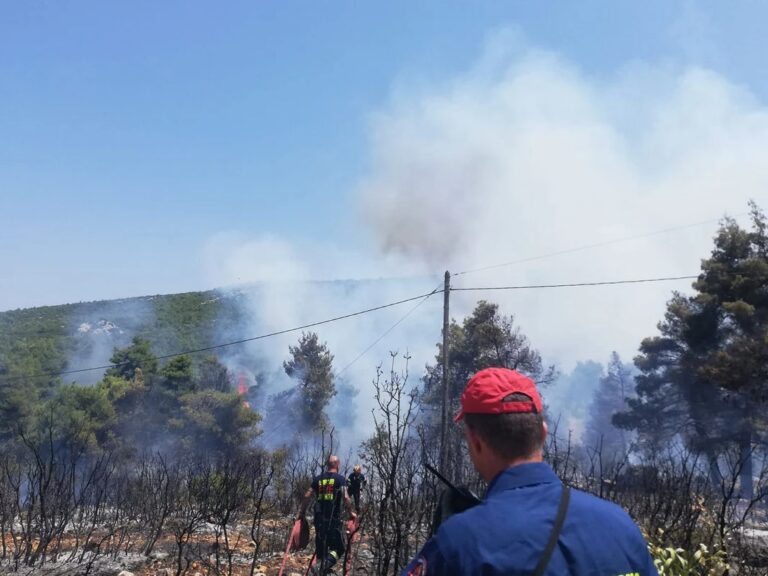 φωτιά-στο-μαρκόπουλο-μία-σύλληψη-και-π-1457062