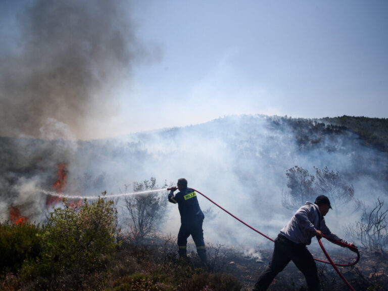 φωτιά-σε-δασική-έκταση-στην-καστοριά-1465610