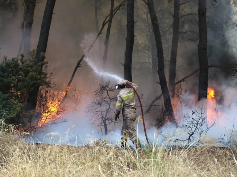 συνεχίζονται-οι-πυρκαγιές-σε-πάτρα-κα-1465745
