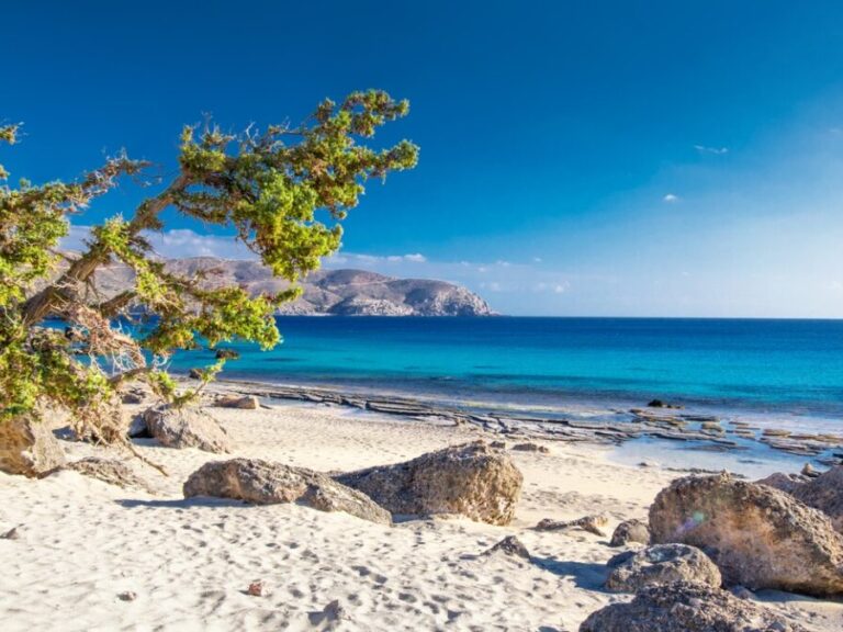 ασεπ-προσλήψεις-3-ατόμων-στο-δήμο-ελαφο-1467510