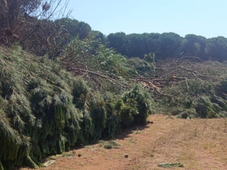 πρέβεζα-κάλεσμα-από-συλλόγους-και-φορ-1474427