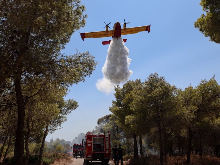 κ-τσίγκας-320-άτομα-έχουν-συλληφθεί-από-τ-1482749