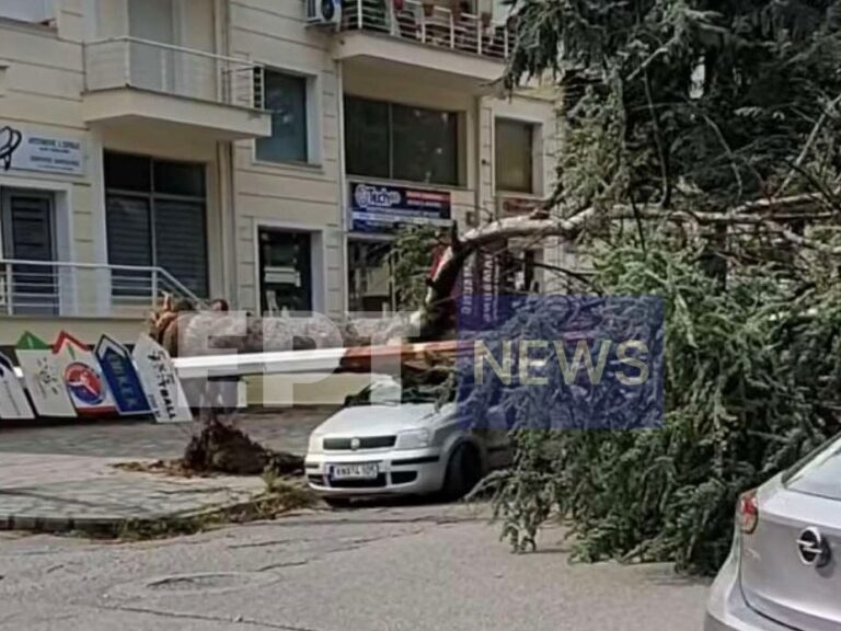 καστοριά-σαρωτικό-μπουρίνι-επεσαν-δέ-1487582