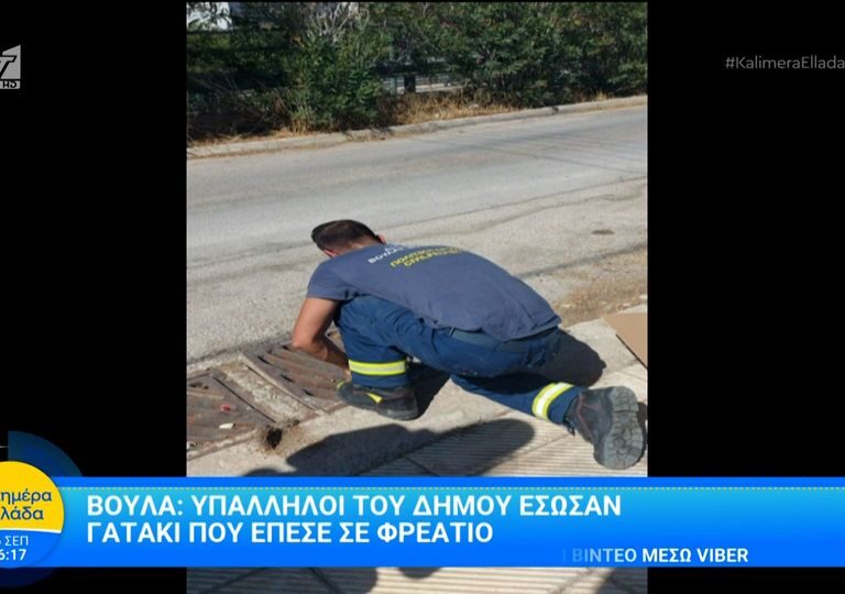 υπάλληλοι-δήμου-έσωσαν-γατάκι-που-έπε-1495683