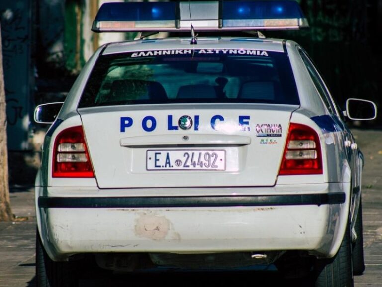 περιστέρι-άγρια-συμπλοκή-μαθητών-τρ-1498050