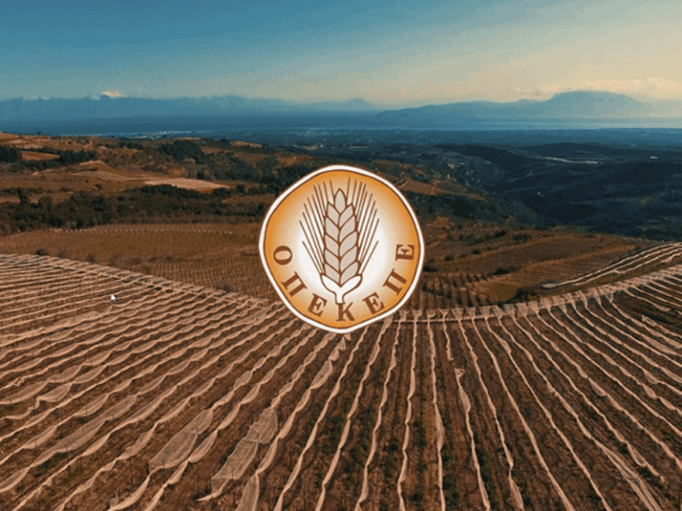 οπεκεπε-τι-διευκρινίζει-για-την-πληρω-1507925