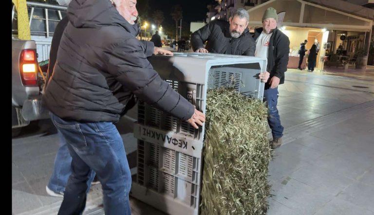 ηράκλειο-πέταξαν-φύλλα-ελιάς-έξω-από-τ-1527029