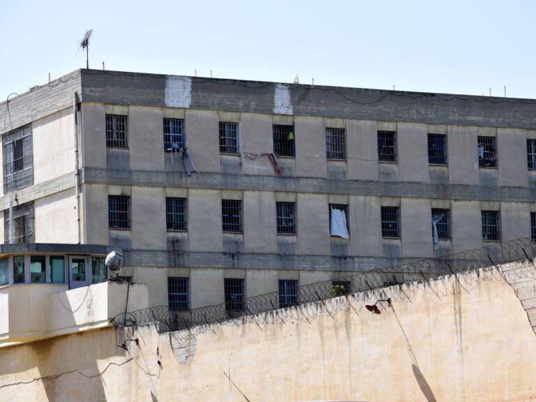 κορυδαλλός-το-ψυχιατρείο-κρατουμένω-1519228