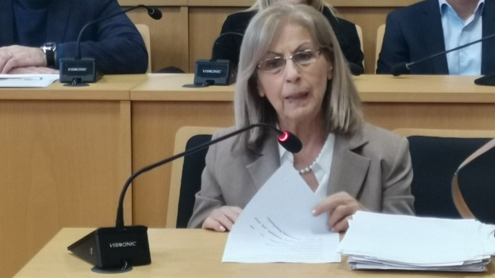 Αηδονά: Χάθηκε το 8% του ζωικού κεφαλαίου στην Κ. Μακεδονία -  Aftodioikisi.gr