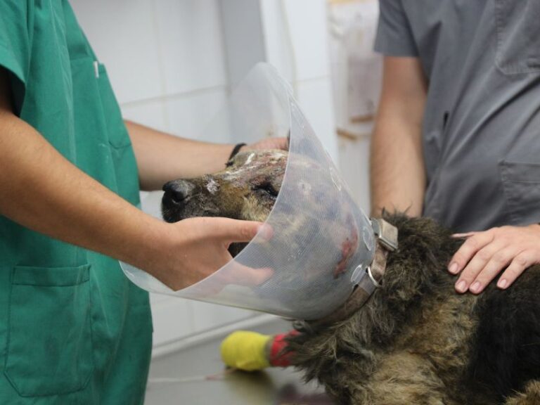 ατύχημα-στο-δικεπαζ-16-ράμματα-σε-εργαζ-1530459