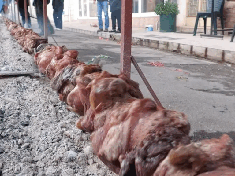 αμφίκλεια-γλέντησαν-με-κοντοσούβλι-130-1549775