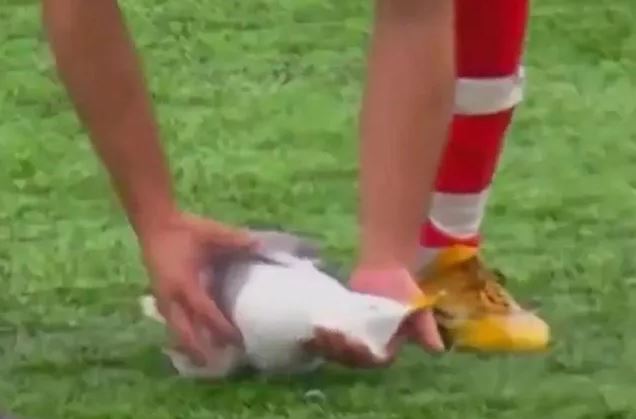 τερματοφύλακας-χτύπησε-εν-πτήσει-γλά-1549982