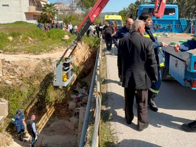φυλή-πολιτική-προστασία-δήμου-έσωσε-η-1557866