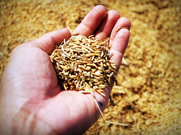 πόλεμος-στο-ιράν-πώς-απειλεί-την-παγκό-1559955