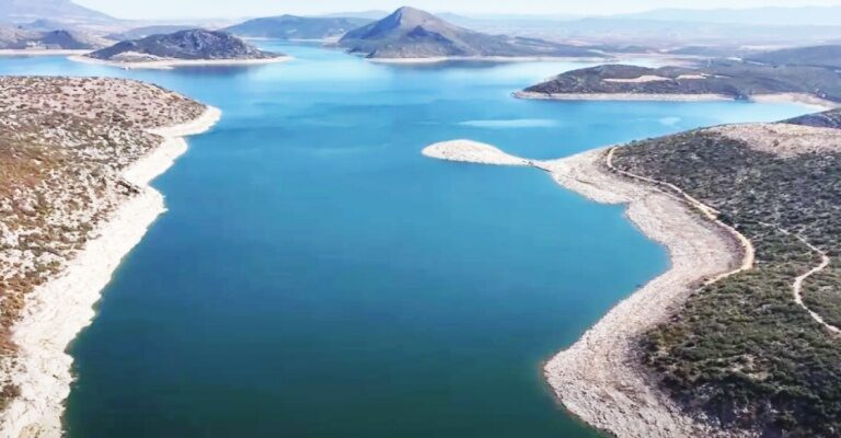 δημιουργείται-ενιαία-ψηφιακή-πλατφό-1565584