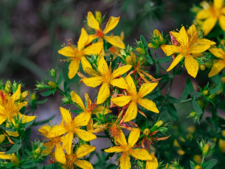 κίνα-ρομπότ-συνελήφθη-επειδή-παρεν-1561301