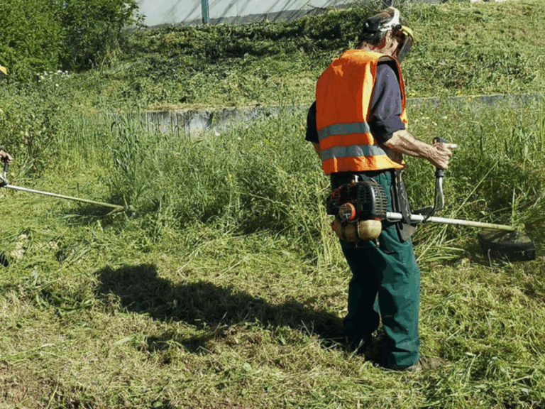 καθαρισμός-οικοπέδων-άνοιξαν-οι-δηλώ-1565645