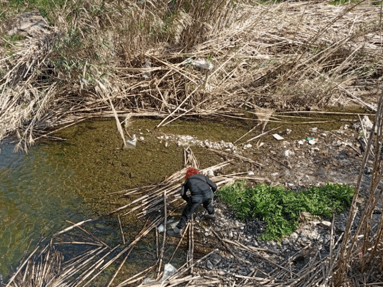 πακοε-καμπανάκι-κινδύνου-για-τον-ποτα-1560730