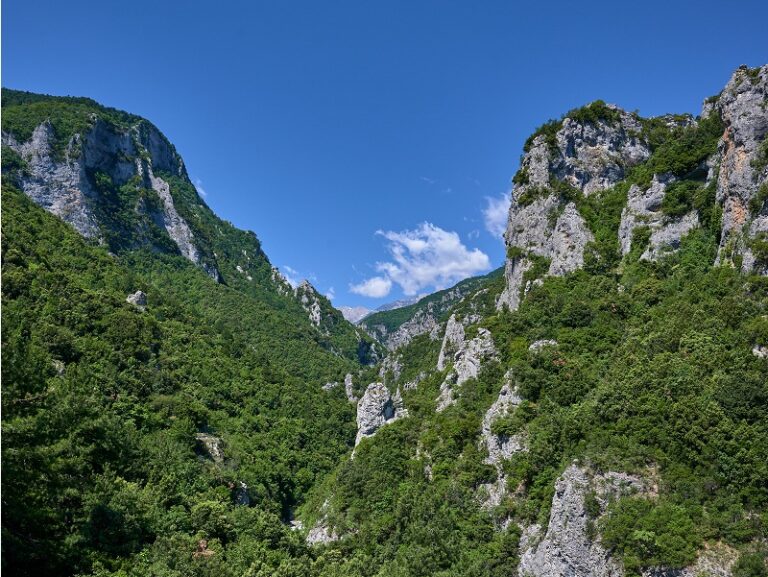 πόθεν-έσχες-ο-δήμαρχος-με-τις-καλλιέργ-1553267