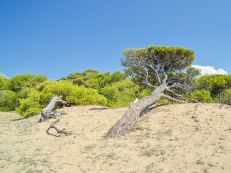 δήμος-καταθέτει-μήνυση-για-ιδιωτικοπ-1552729