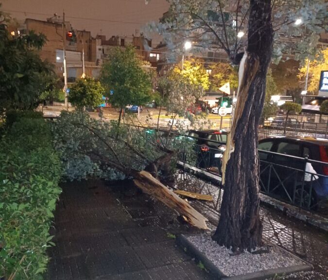 νέα-σμύρνη-έπεσε-μεγάλος-κορμός-σε-πεζ-1566222