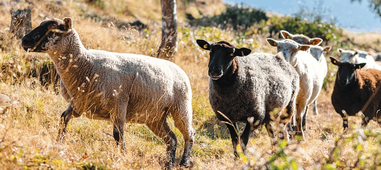 υπαατ-8-μέτρα-για-τους-πληγέντες-από-το-1576477