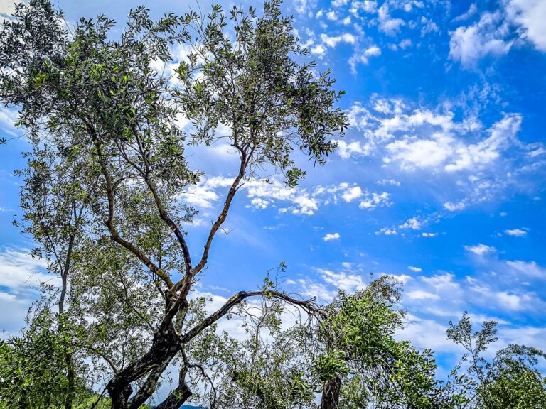 αρναούτογλου-η-πρόγνωση-για-τον-καιρό-1571149
