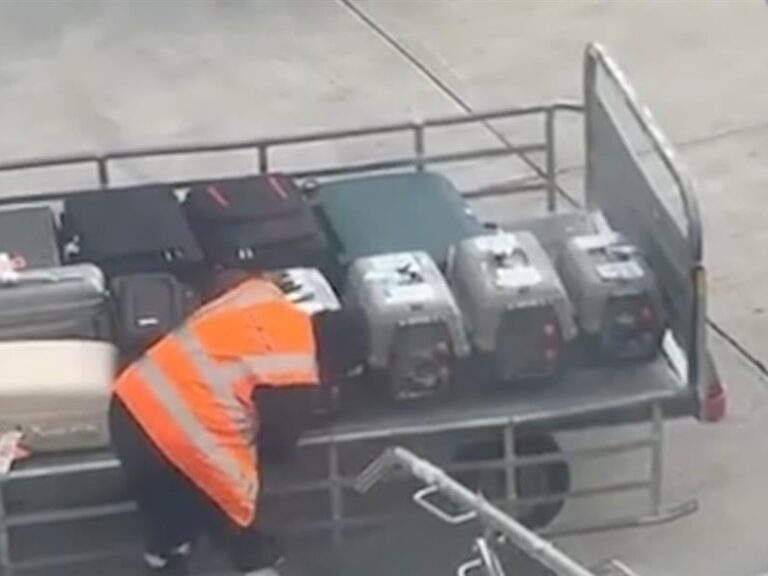 viral-στο-tiktok-έγινε-εργαζόμενος-στο-ελευθέρι-1576015