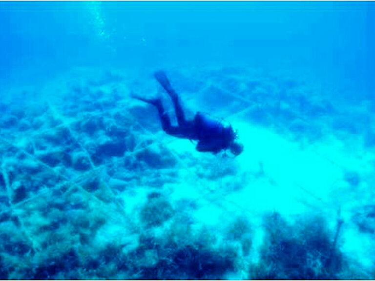 προσλήψεις-στην-εφορεία-εναλίων-αρχα-1575119