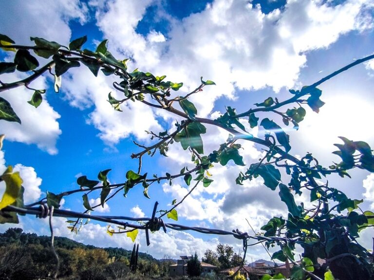 ο-καιρός-σήμερα-19-απριλίου-1573313