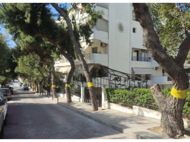 δήμος-επέβαλλε-πρόστιμο-1-500e-για-κλάδεμα-1571178