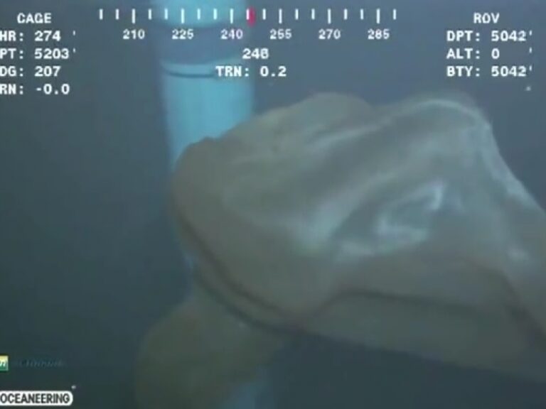 τρόμος-στο-βυθό-δείτε-τι-κατέγραψε-υπο-1571306