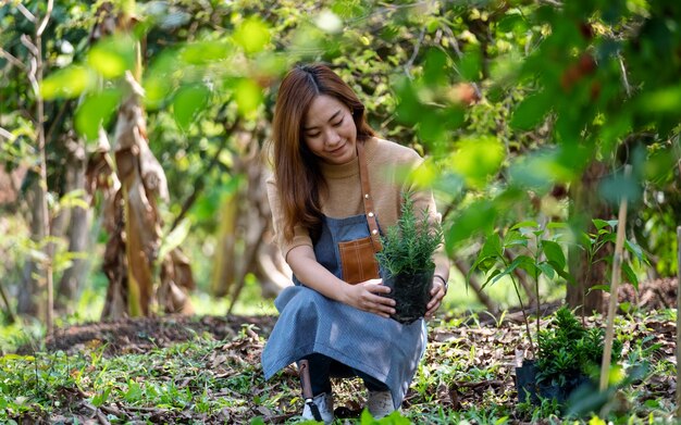 το-βότανο-που-καταπολεμά-το-αλτσχάιμε-1573140