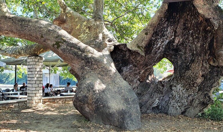 αντιπολίτευση-ζητά-εξήγησεις-για-ιστ-1574943