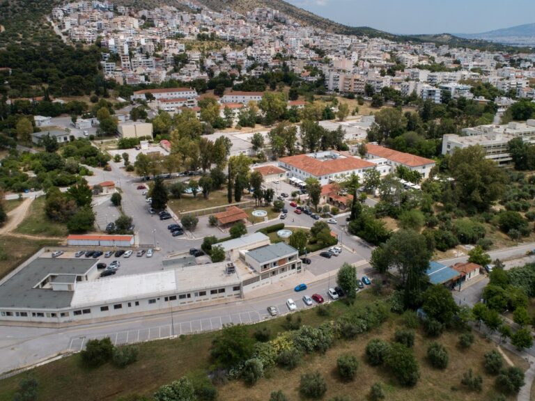 δαφνί-τρόφιμος-στραγγάλισε-τον-συγκά-1587599