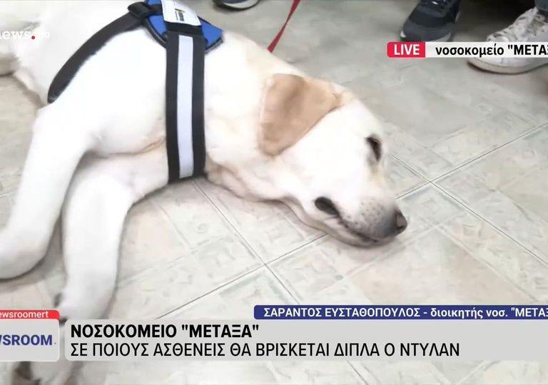 νοσοκομείο-μεταξά-έπιασε-δουλειά-ο-πρ-1586564