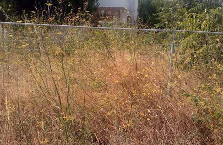 καμπανάκι-δήμων-σε-πολίτες-για-τα-ακ-1580100