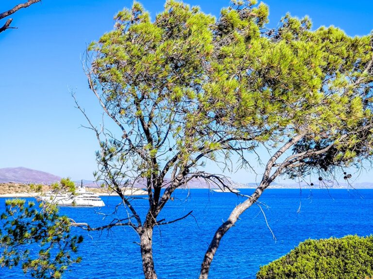 ο-καιρός-σήμερα-4-ιουλίου-1602714