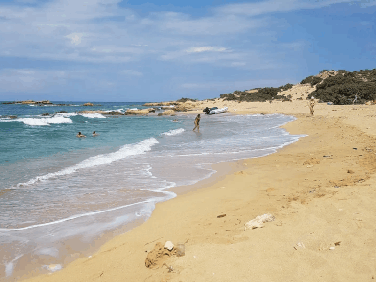 κραυγή-αγωνίας-από-συλλογικότητα-τέλ-1593961
