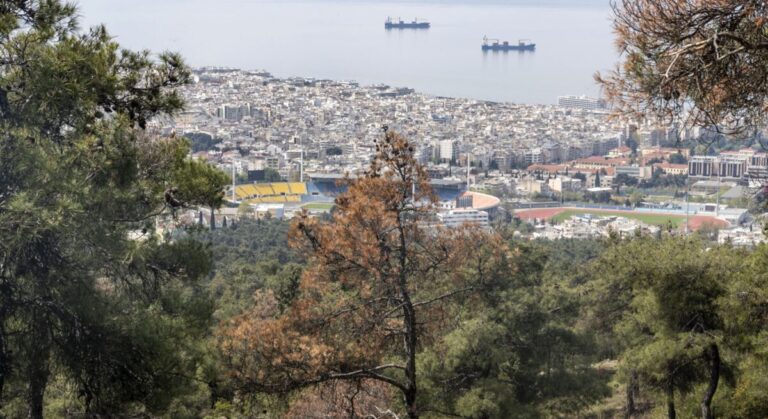 ο-αστείρευτος-πλούτος-των-βοτάνων-της-1605575