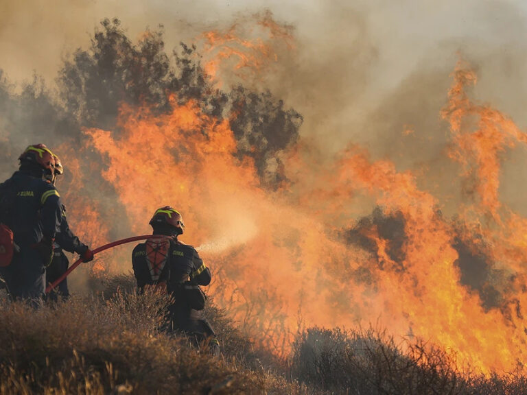 48-αγροτοδασικές-πυρκαγιές-το-τελευταί-1606179