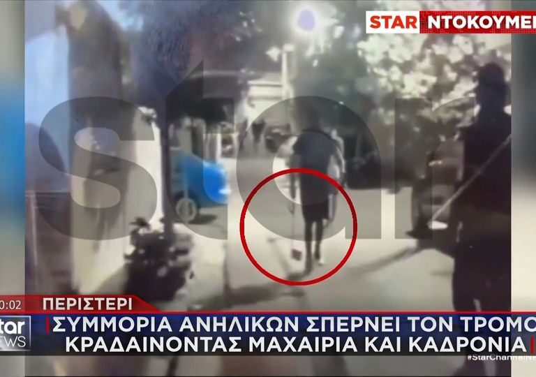 περιστέρι-συμμορία-σπέρνει-τον-τρόμο-1602553