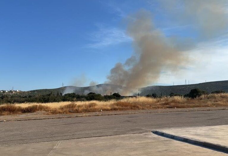 φωτιά-κοντά-σε-μονή-στην-κερατέα-επιχε-1598055